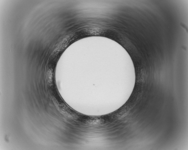 X0000103480646200810101000