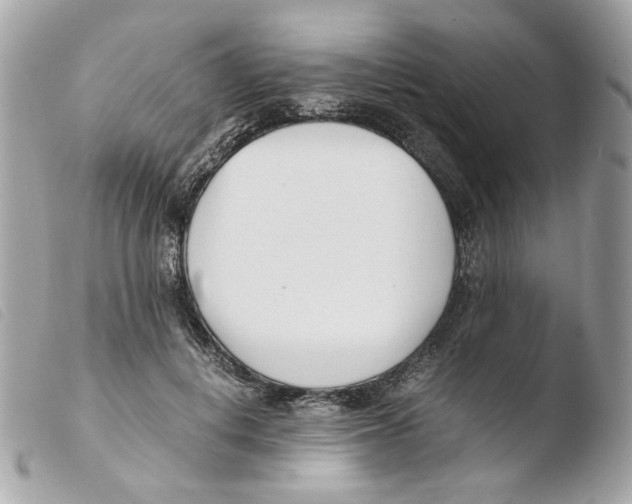 X0000103480648200810101000