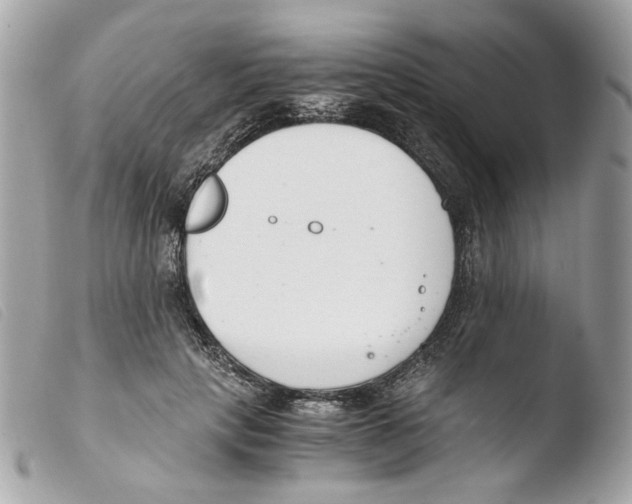 X0000103480649200810101000