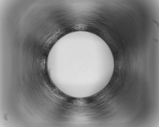 X0000103480652200810101000