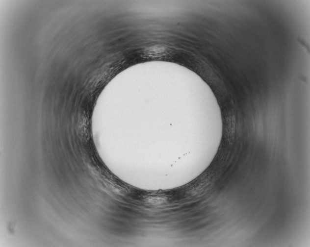 X0000103480653200810101000