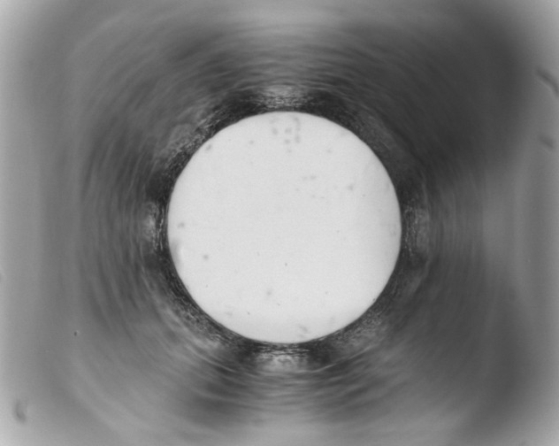 X0000103480655200810101000