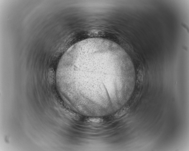 X0000103480659200810101000