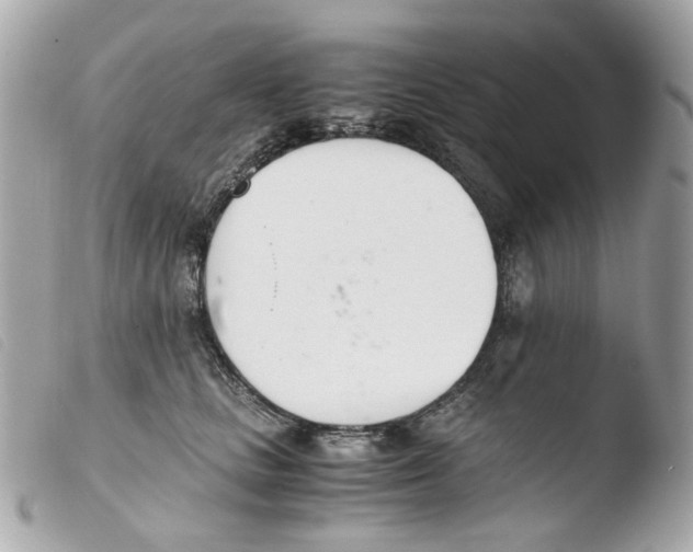 X0000103480661200810101001