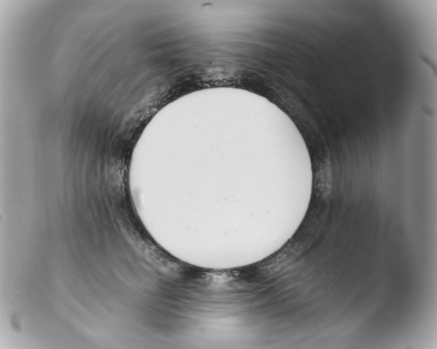X0000103480662200810101001