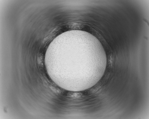 X0000103480663200810101001
