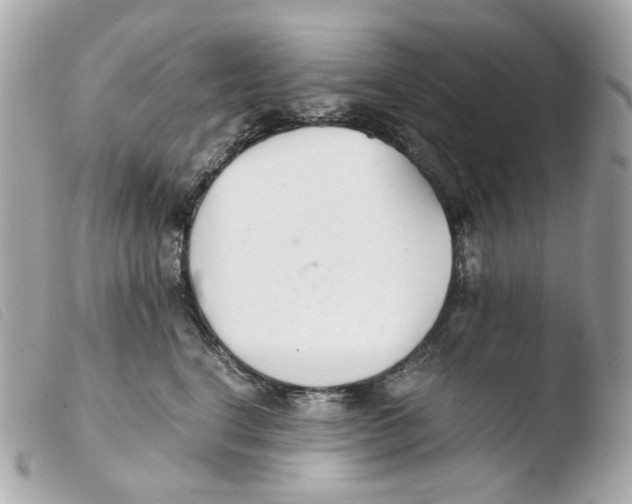 X0000103480664200810101001