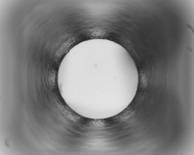 X0000103480668200810101001