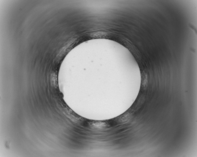 X0000103480669200810101001
