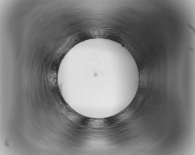 X0000103480671200810101001