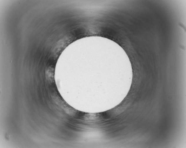 X0000103480672200810101001