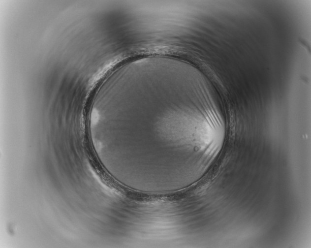 X0000103480674200810101000