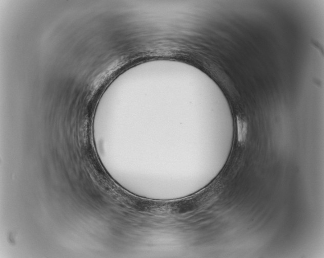 X0000103480675200810101000