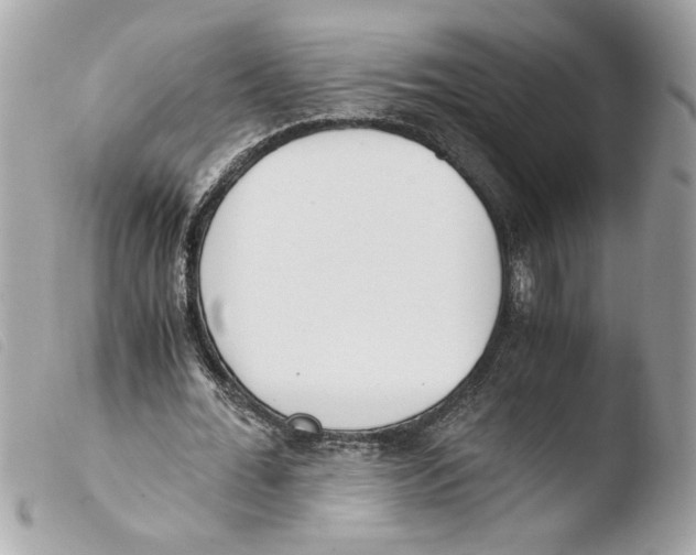 X0000103480676200810101000