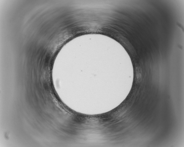 X0000103480677200810101000