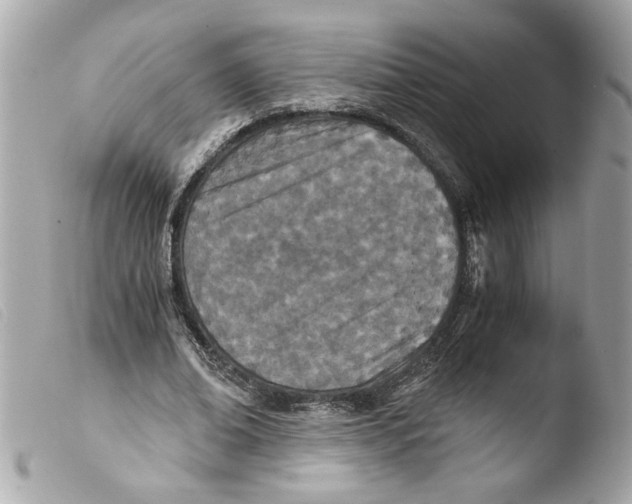 X0000103480678200810101000