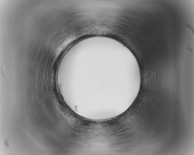 X0000103480679200810101000