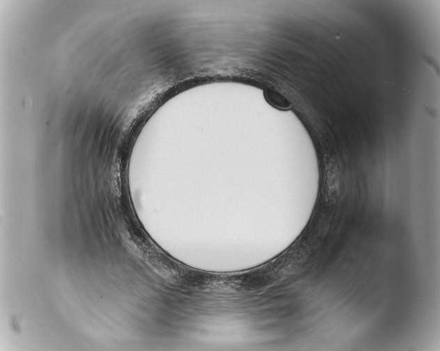X0000103480680200810101000