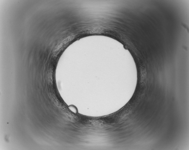 X0000103480681200810101000