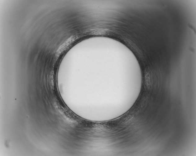 X0000103480682200810101000
