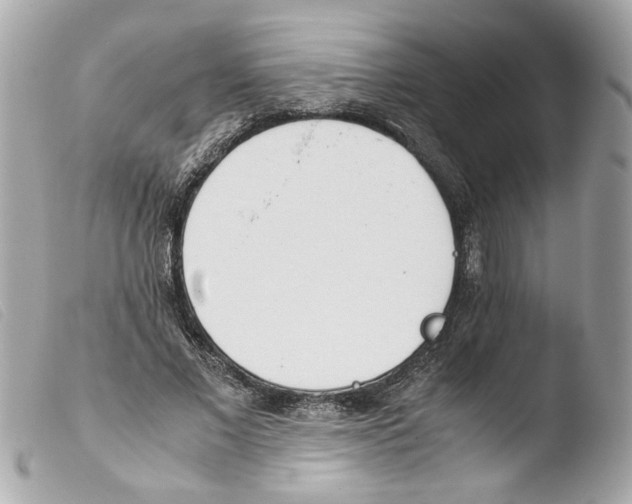 X0000103480685200810101000