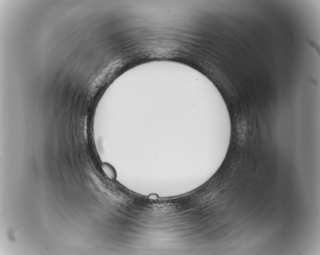 X0000103480686200810101000