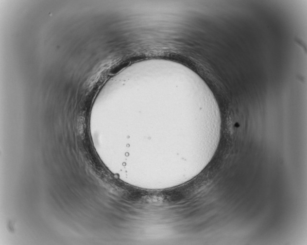 X0000103480687200810101000