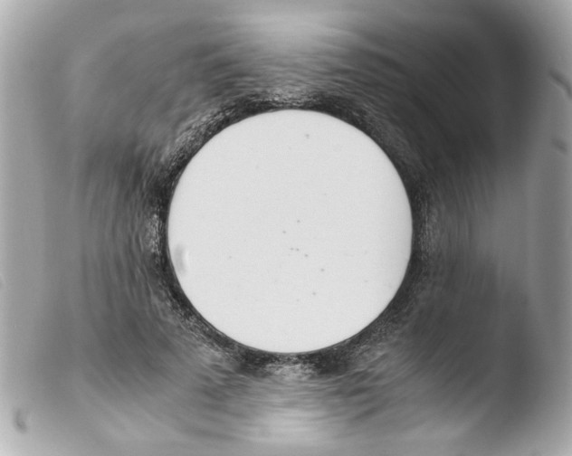 X0000103480689200810101000