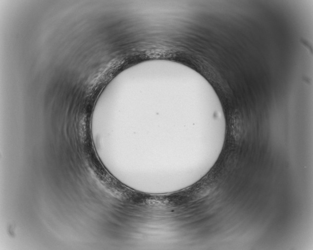 X0000103480690200810100959