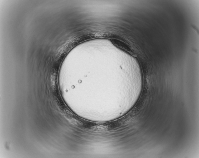 X0000103480691200810100959