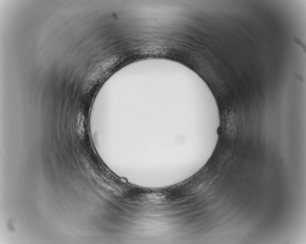 X0000103480692200810100959