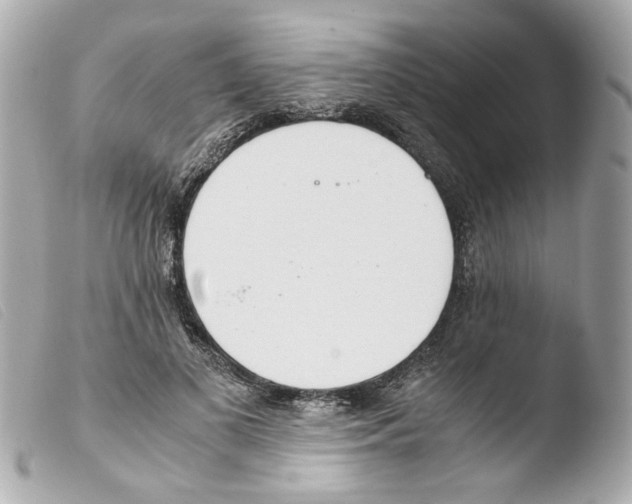 X0000103480693200810100959