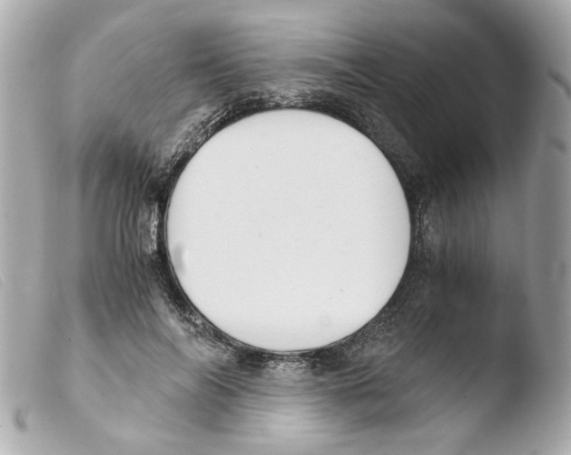 X0000103480694200810100959