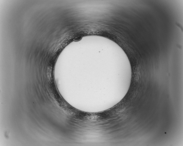 X0000103480695200810100959