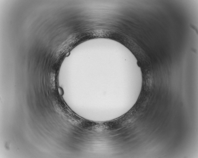 X0000103480696200810100959