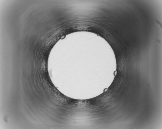 X0000103480697200810100959