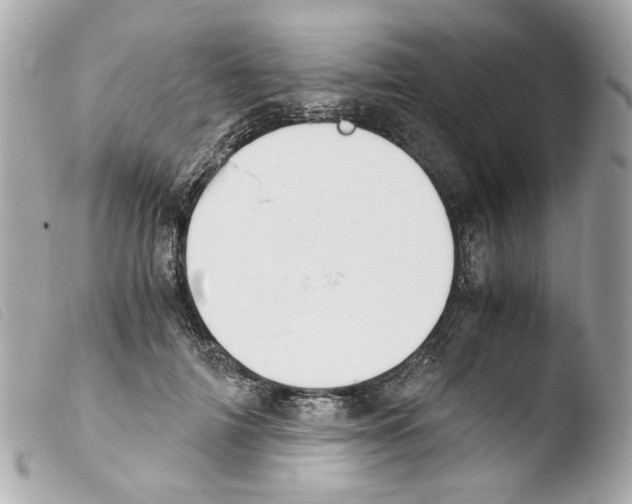 X0000103480698200810100959