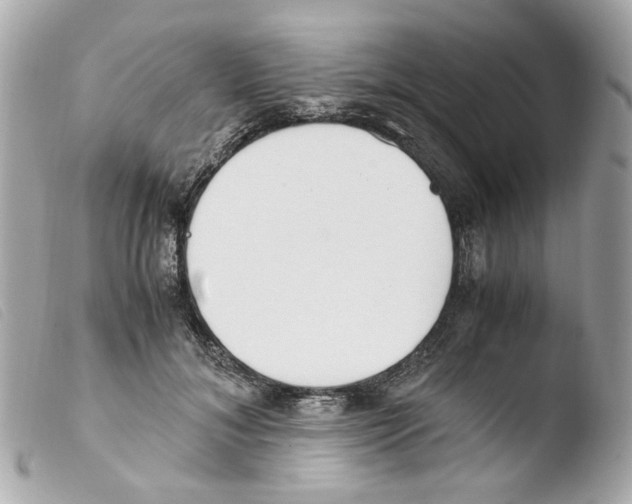 X0000103480700200810100959