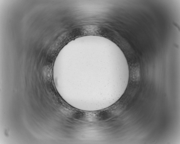 X0000103480701200810100959