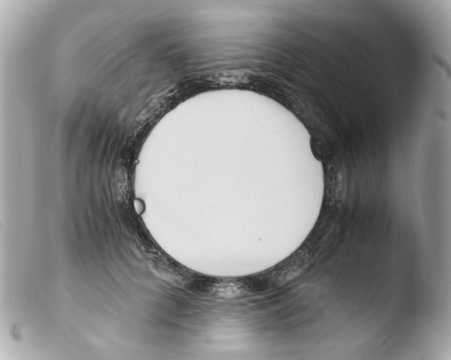 X0000103480704200810100959