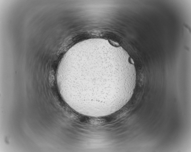 X0000103480707200810100959