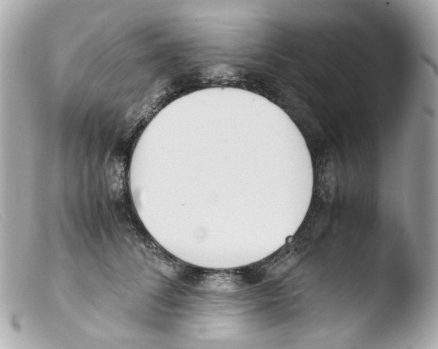 X0000103480708200810100959