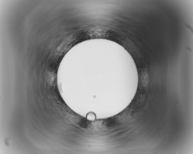 X0000103480709200810100959