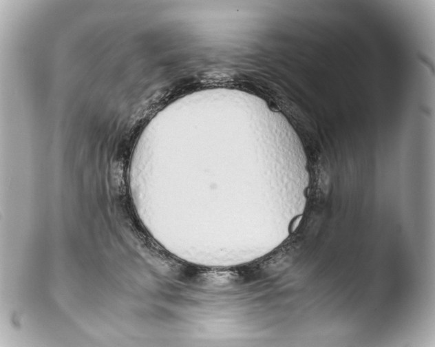 X0000103480711200810100959