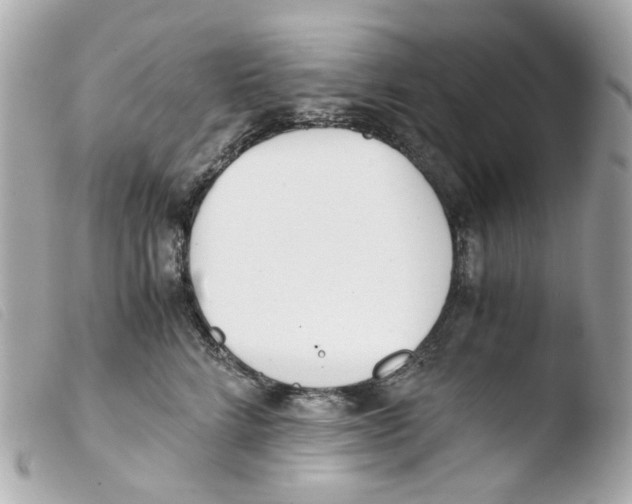 X0000103480712200810100959