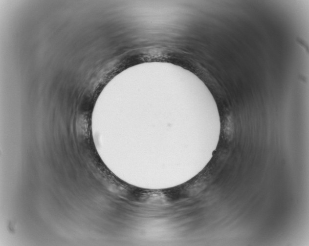 X0000103480715200810100959