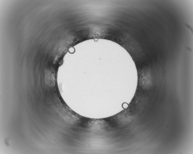 X0000103480716200810100959