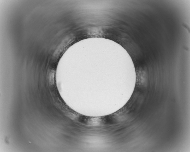 X0000103480717200810100959