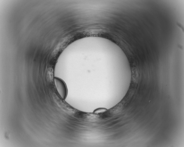X0000103480718200810100959