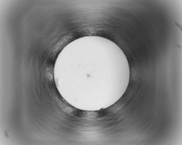 X0000103480719200810100959